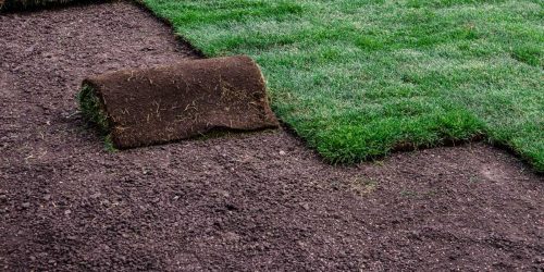 Sod Installation, Sod Installer, Sod Company, Sod Contractor