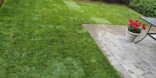 Sod Installation, Sod Installer, Sod Company, Sod Contractor