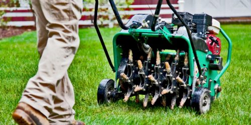 Lawn Aeration & Overseeding, Lawn Maintenance