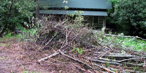 Leaf Removal, Leaf Removal service, Fall Clean Up, Spring Clean Up,