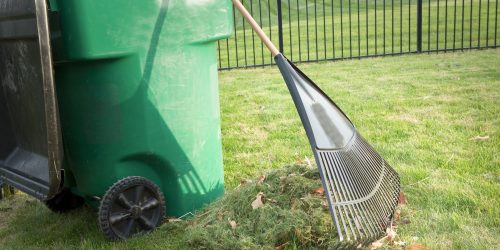 Leaf Removal, Leaf Removal service, Fall Clean Up, Spring Clean Up,