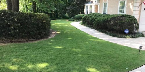 Lawn Care, Lawn Mowing, Grass Cutting, Lawn Maintenance, Lawn Care Business