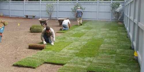 Sod Installation, Sod Installer, Sod Company, Sod Contractor