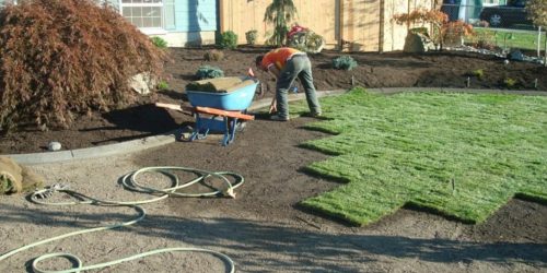 Sod Installation, Sod Installer, Sod Company, Sod Contractor